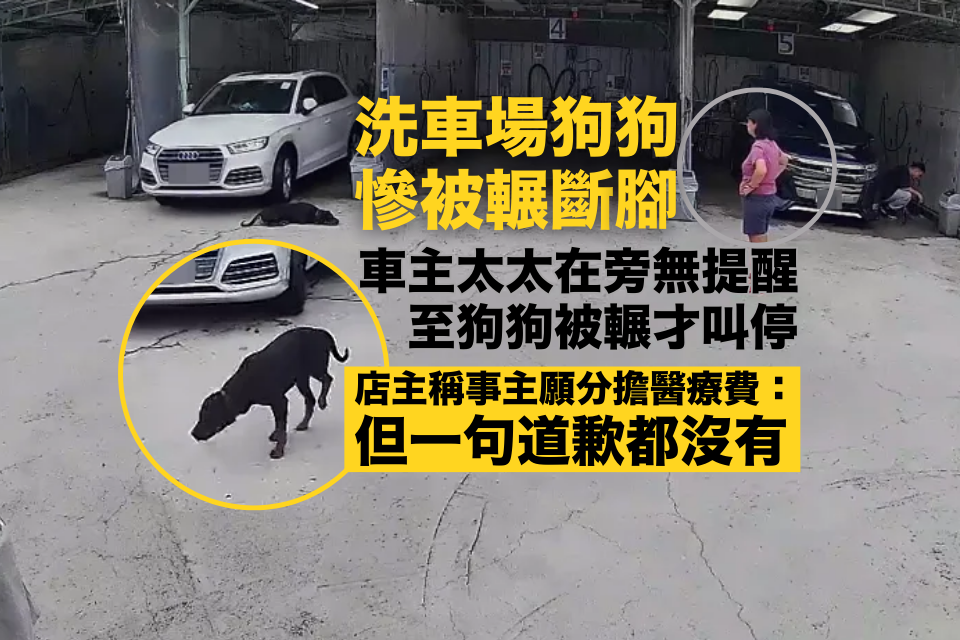 The dog’s foot was crushed at the car wash but the car owner’s wife failed to stop him in time