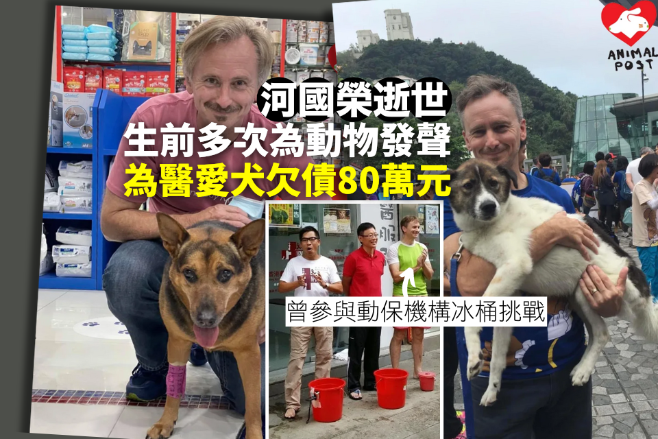 L’artiste Ha Guorong, amoureux des animaux, s’est suicidé et a défendu la cause des animaux à plusieurs reprises. Il avait encore des dettes pour payer des soins médicaux et n’a jamais quitté son chien bien-aimé.