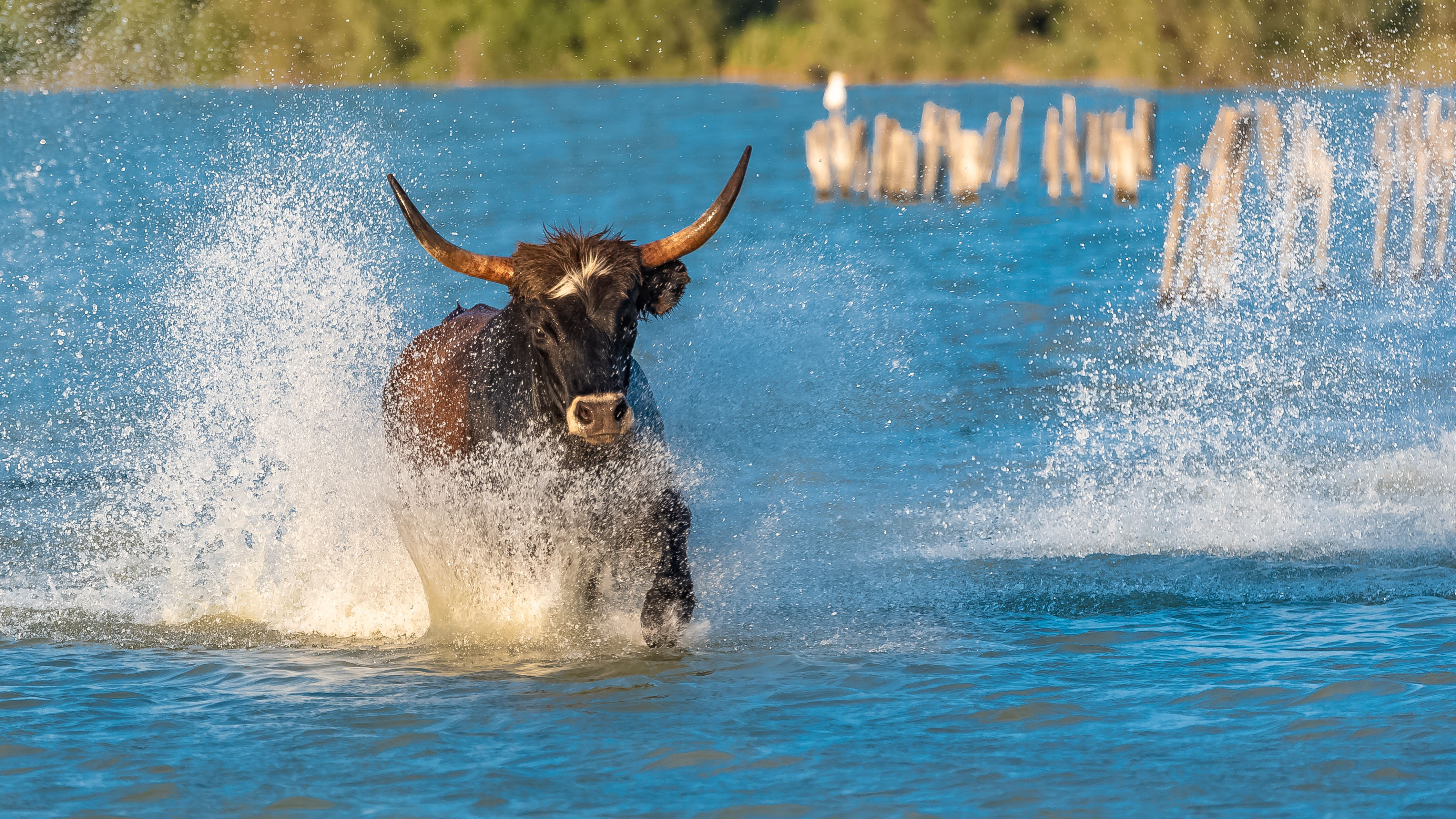 Wall Street’s most bullish strategist cites a ‘big surprise’ pushing stocks higher: Morning Brief