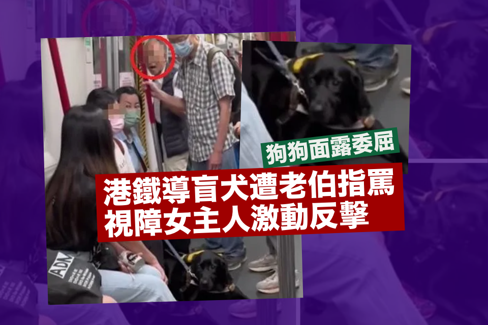 網上熱話｜港鐵導盲犬遭老伯指罵面露委屈視障女主人激動反擊(有片) - Yahoo新聞