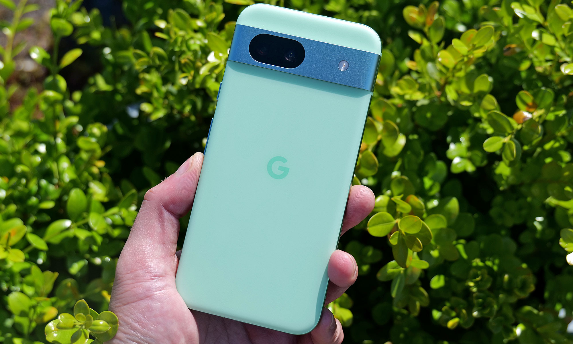 The new Aloe color for the Pixel 8a is the best-looking of the bunch. 