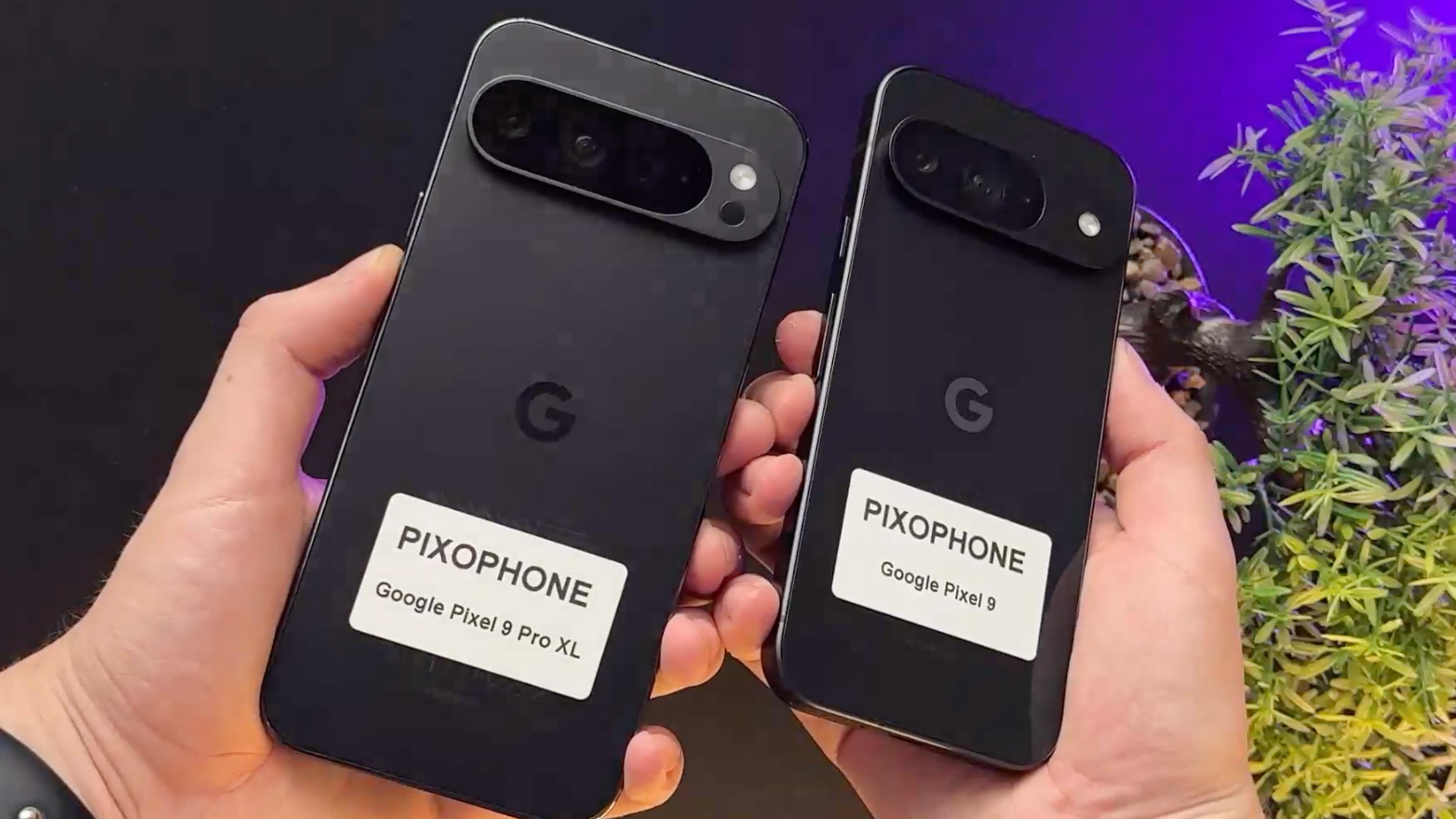 Two alleged prototypes for the Pixel 9 XL (left) and Pixel 9 in hands. Purple and green background.