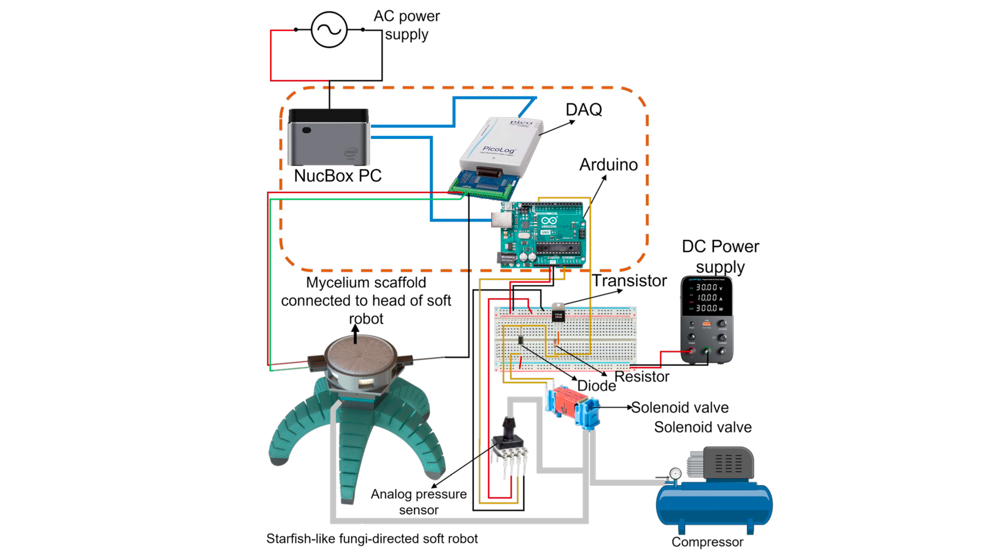 Diagram showing various parts of a complex fungus-robot hybrid