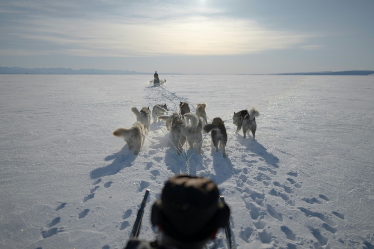 Dogsled diplomacy in Greenland proves elusive for US