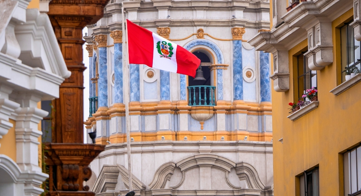 Peru Makes History by Legally Recognizing Native Stingless Bees as Rights-Bearing Entities