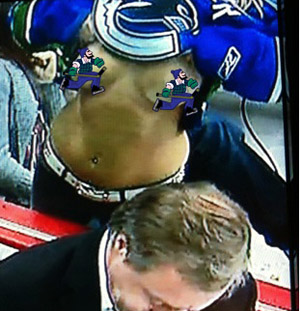 flashing at hockey game