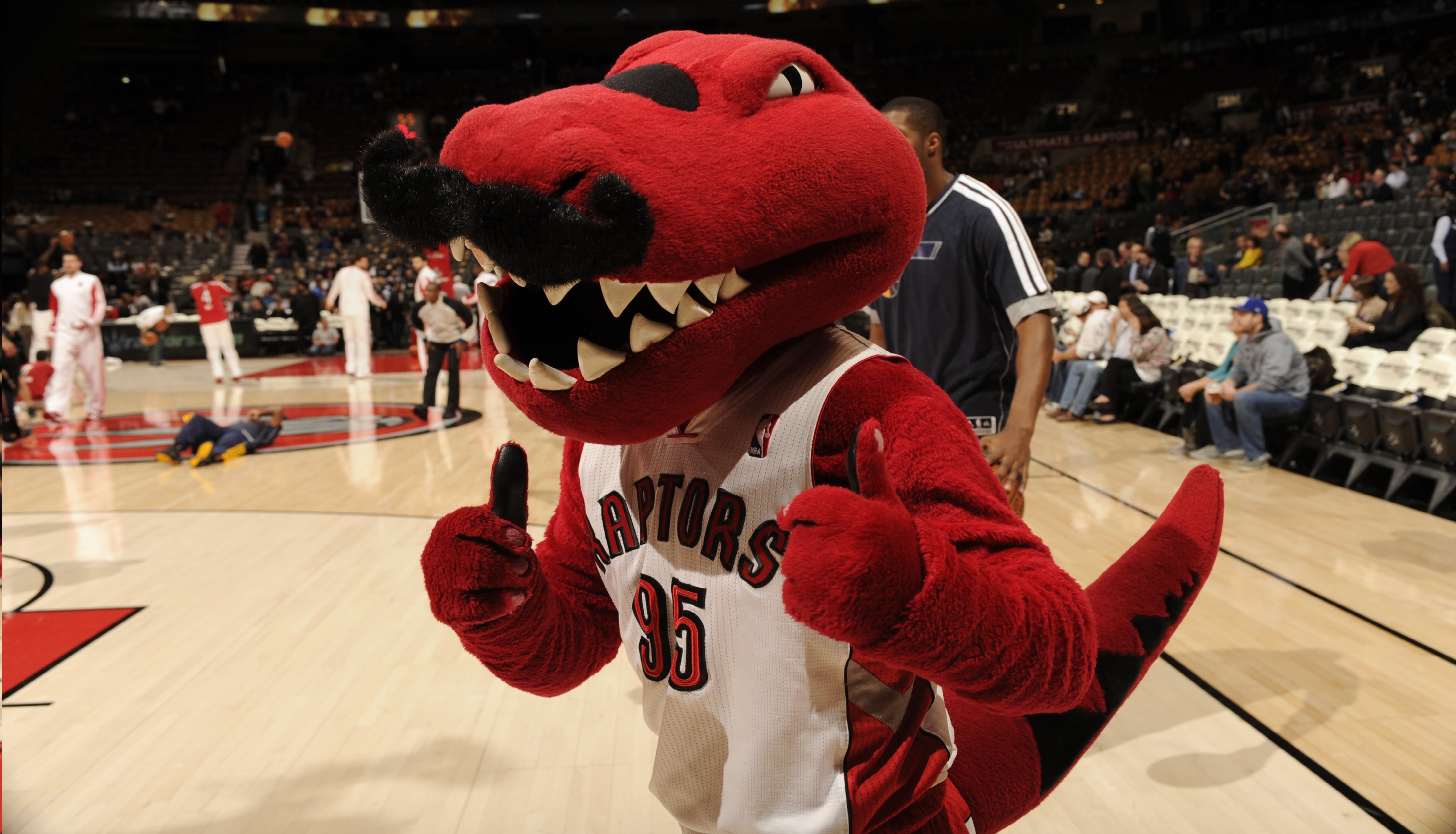 Raptors mascot out for year with Achilles injury