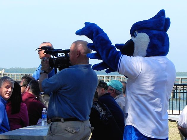 Mar. 2, 2011 - Dunedin, Florida, U.S - Blue Jays mascot during a