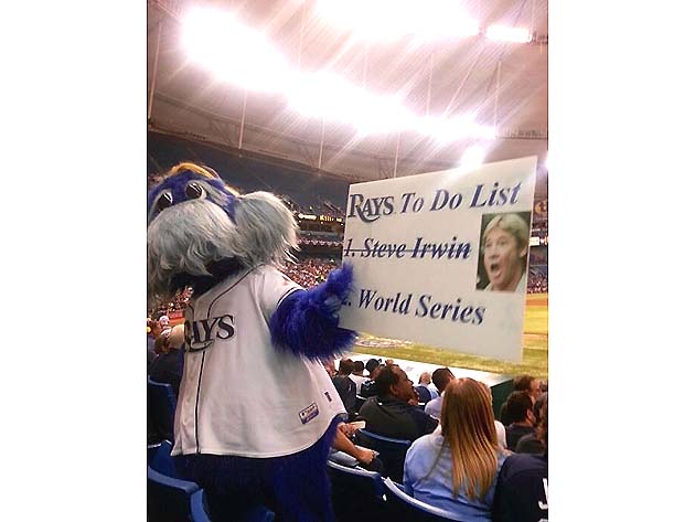 Raymond the Rays Mascot responded to the Yankees Hitting the