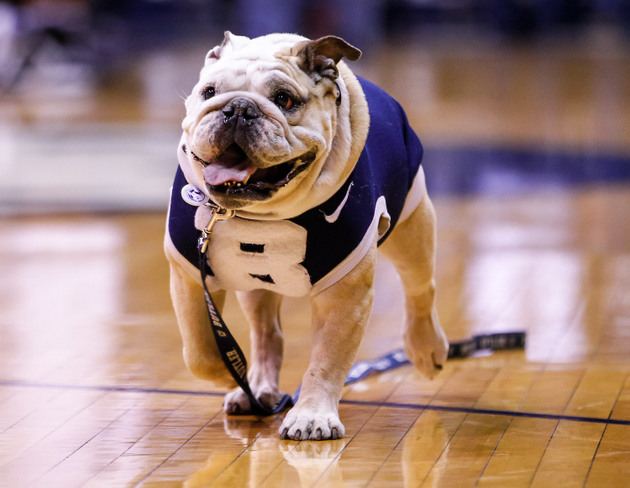 Butler Blue  The Official Mascot of Butler University