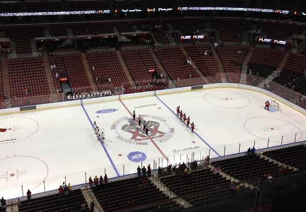 Florida Panthers: The role and importance of being a fan