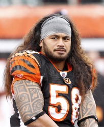 Bengals LB Maualuga moves to middle - Deseret News