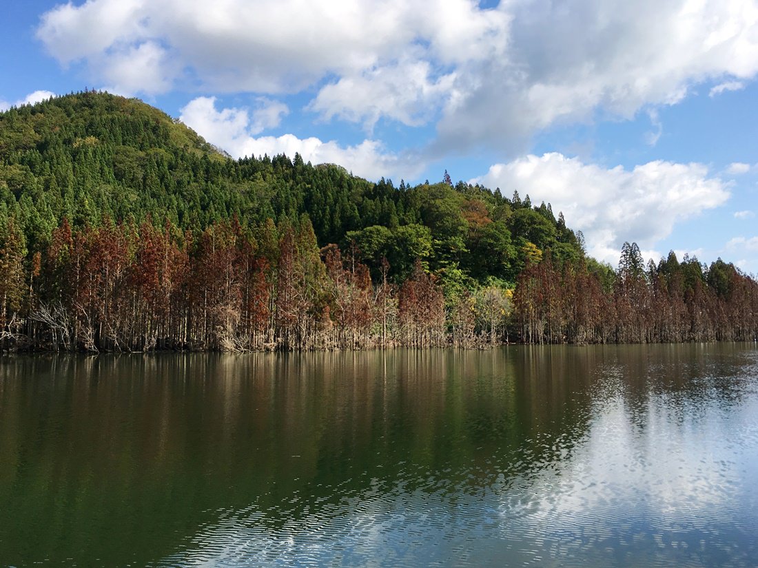 世界遺產白神山地青森秘境療癒慢旅 Yahoo奇摩旅遊