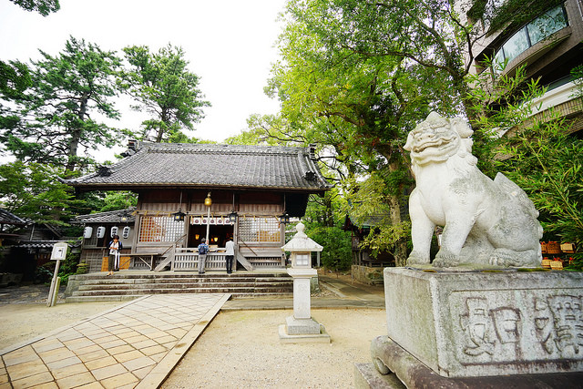 日本 愛知縣 菅生神社 意外來到岡崎最古老的神社與德川家康 松平元康 相遇 這裡的御朱印也太多樣 太美了 Yahoo奇摩旅遊