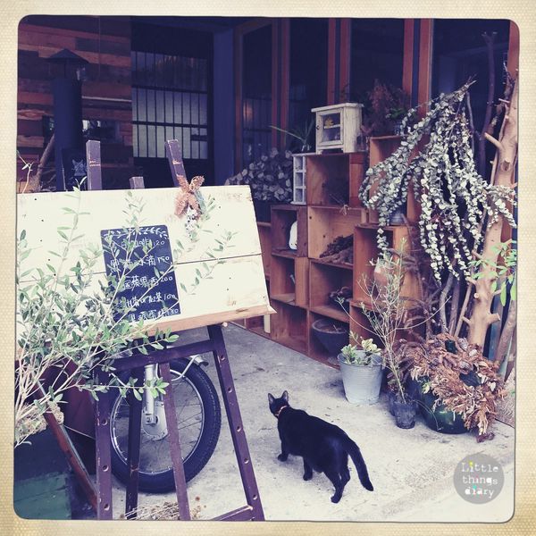 台北黑貓工作室Le Chat Noir，花藝教學、咖啡點心雜貨- Yahoo奇摩旅遊