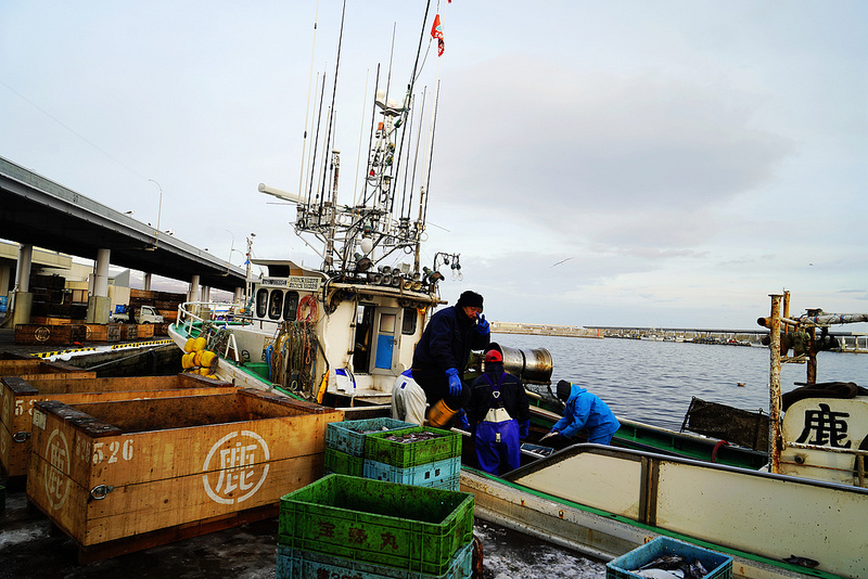 北海道 道南入住在地特色旅店體驗當地生活 鹿部温泉旅館鹿の湯 迎日出 Yahoo奇摩旅遊