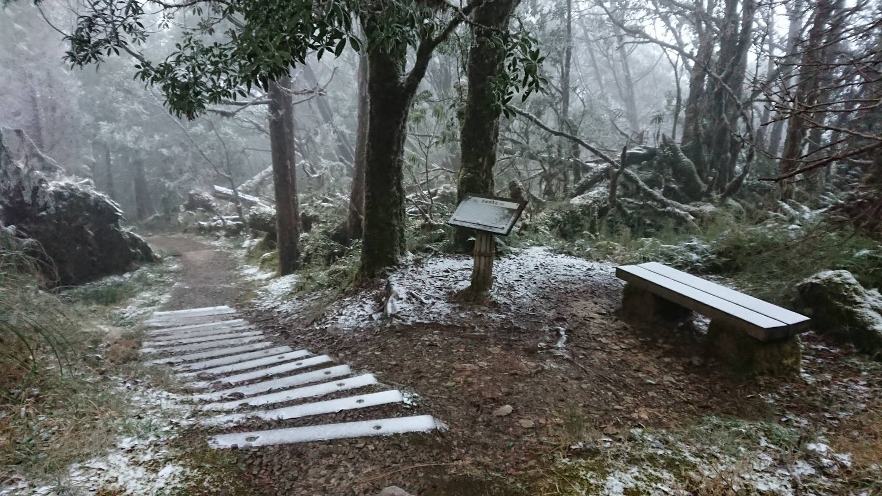 多處高山現雪景拉拉山晚間7時起預警性封路 Yahoo奇摩遊戲電競