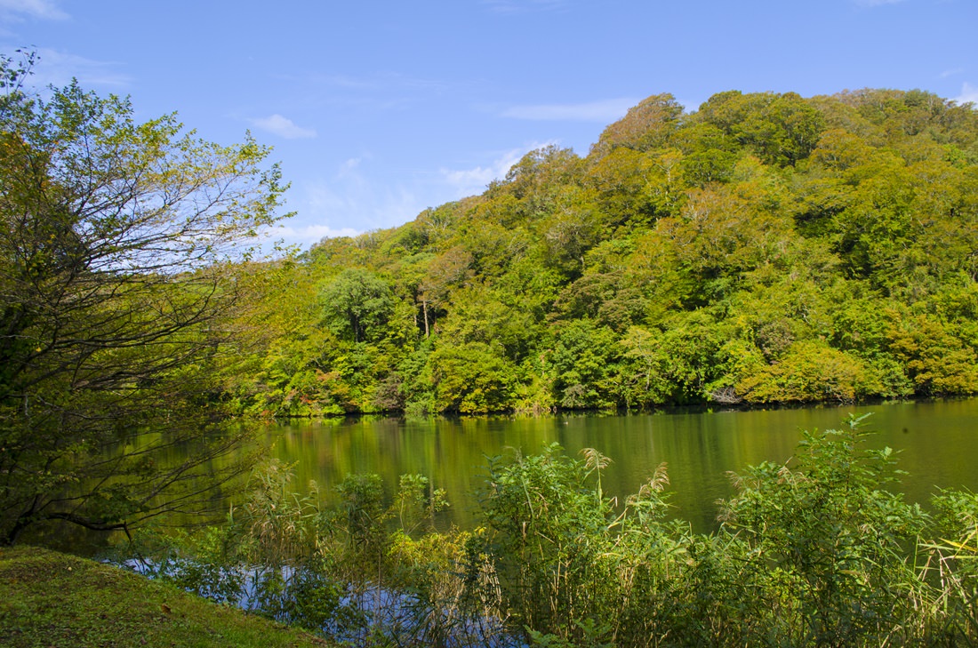 世界遺產白神山地青森秘境療癒慢旅 Yahoo奇摩遊戲電競