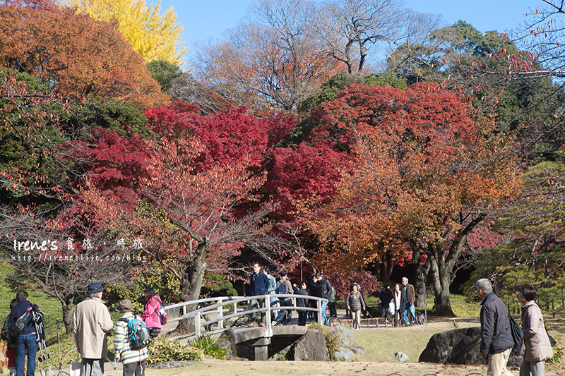 小石川後樂園