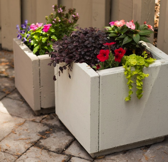 How to Make a DIY Concrete Planter