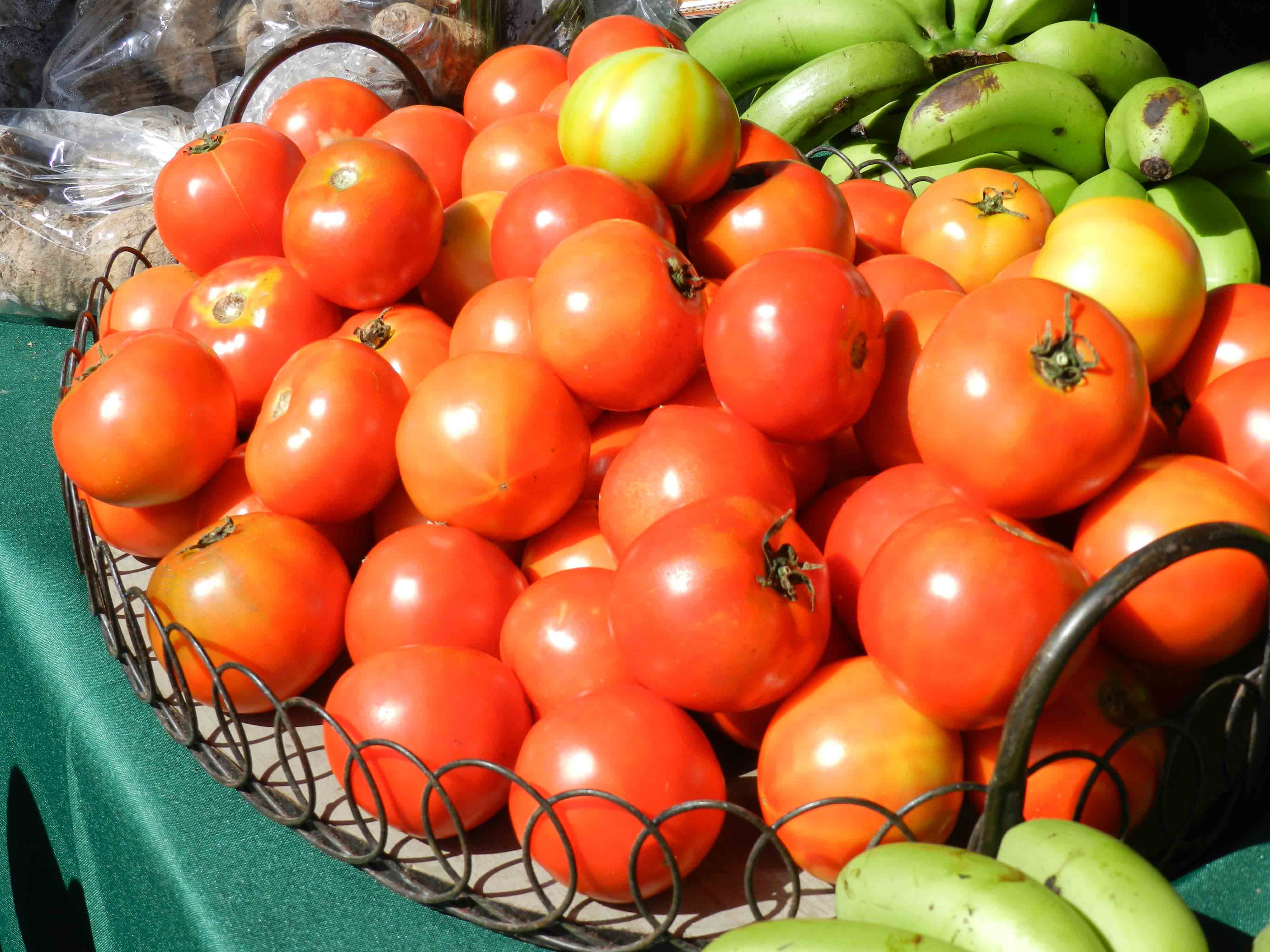 Ingrediente De La Semana Tomate