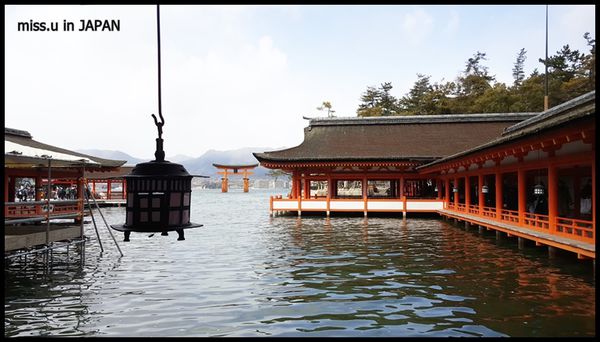 日本廣島自由行 日本三景 世界文化遺產 神與人共生的島 宮島 嚴島神社 Yahoo奇摩旅遊