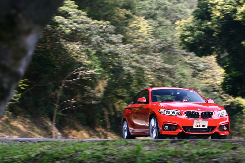 如果是我，我會選這台BMW...(是的，它是雙門的220i Coupe)