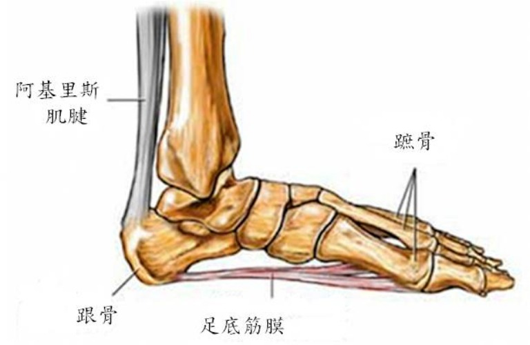 路跑隔天腳痛到不行 復健科醫師 平時6招預防 足底筋膜炎 Yahoo奇摩電影