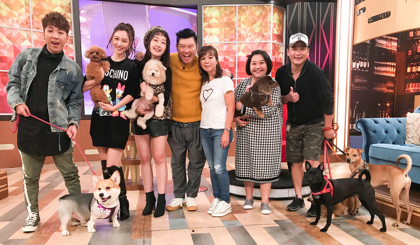 今日娛樂爆 曾莞婷寵溺愛犬行李箱衣服全丟只為裝狗糧 Yahoo奇摩遊戲電競