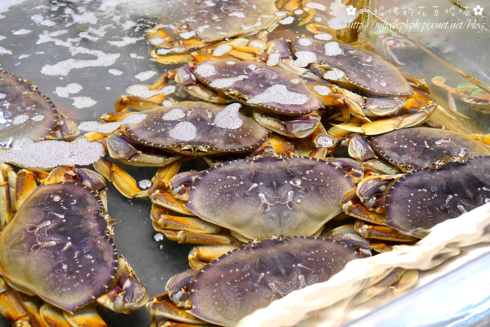 【桃園-新屋區】永安漁港觀光魚市♥海鮮熱炒、涮嘴炸物和新鮮魚貨應有盡有