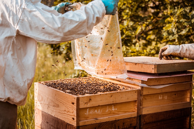150萬隻蜜蜂約能產出400公斤蜂蜜，去年在德國萊比錫服務中心商店上架，短短幾天就銷售一空
