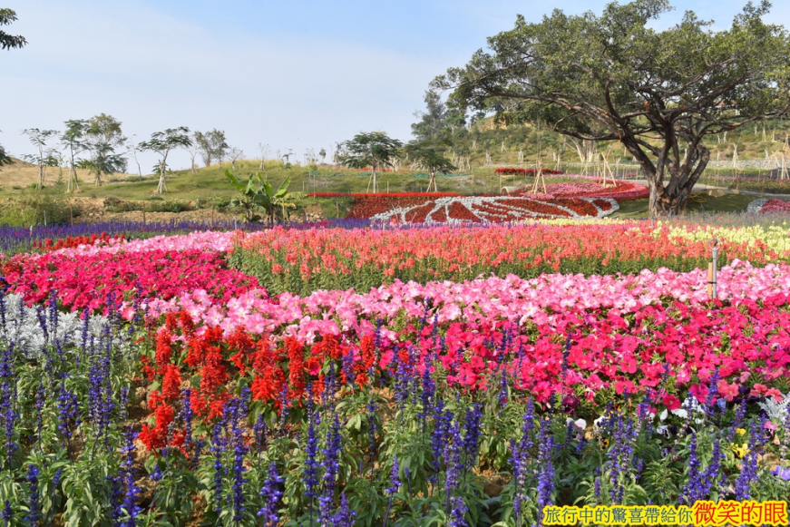 高雄最新亮點 雙湖森林公園實地走訪 繽紛彩虹花毯超夢幻 搶先報你知 Yahoo奇摩旅遊