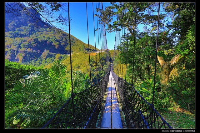 義興吊橋2.JPG - 桃園市復興區 小烏來風景遊憩區(4顆星)