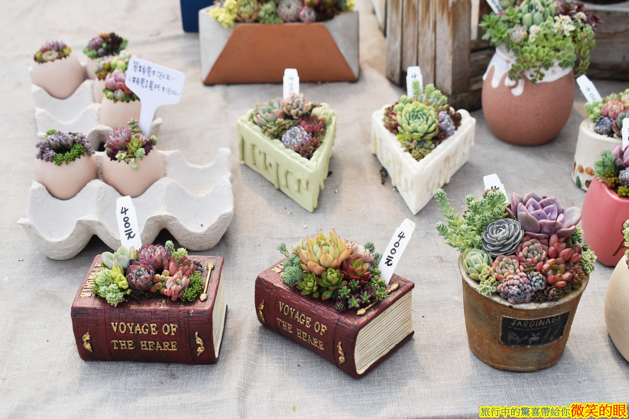 花卉，鲜花，植物，多肉植物摄影|摄影|产品摄影|SHIKI石姬 - 原创作品 - 站酷 (ZCOOL)