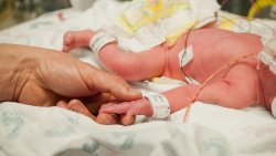 Texas Family Welcomes 'One in a Million' Quadruplets