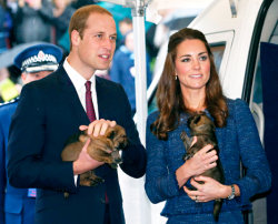 Kate Middleton, Prince William Pose With Adorable Police Puppies in New Zealand: Pictures