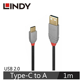 LINDY林帝 ANTHRA USB 2.0 TYPE-C公 TO A公傳輸線 1M
