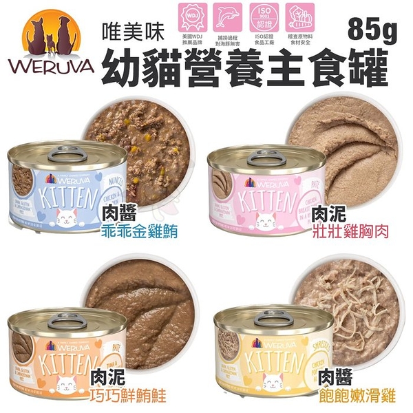 【24罐組】WERUVA 唯美味 幼貓營養主食罐85g 懷孕母貓也可餵食 肉泥罐 主食貓罐 貓罐頭