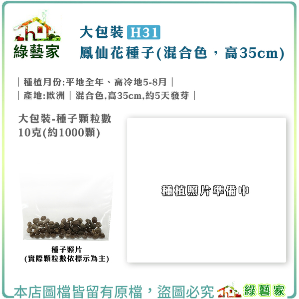 【綠藝家】大包裝H31.鳳仙花(混合色，高35cm)種子10克 (約1000顆)