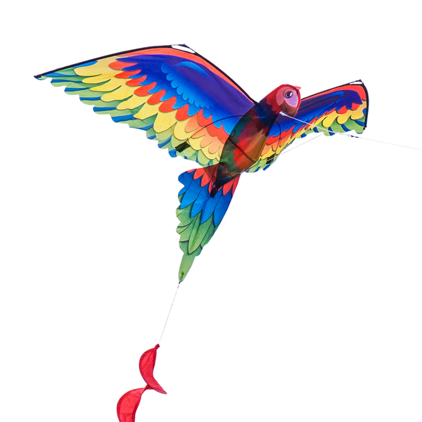 3D立體鸚鵡造型風箏(金剛鸚鵡)(140*230)(全配/附150米輪盤線)【888便利購】 | 球類/風箏 | Yahoo奇摩購物中心