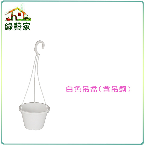 【綠藝家】白色吊盆(含吊鉤)6寸