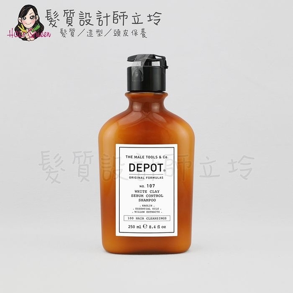 立坽『洗髮精』得軼公司貨 DEPOT 100清潔系列 107 白泥控油洗髮精250ml HS02 HS08