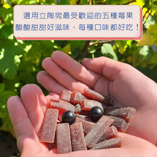 立陶宛 VERI BERI 天然水果條 50g 水果條 果乾 草莓 藍莓 覆盆莓 櫻桃 鮮果餅乾 水果乾 0106 product thumbnail 4