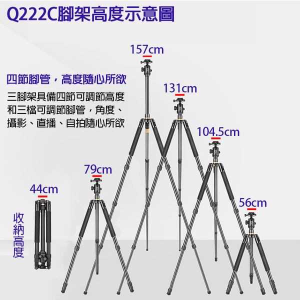 鼎鴻@Q222C碳纖維三腳架 單眼相機獨腳架 碳纖維 旋鈕式鎖腳 Q02球型雲台 反折收納44cm 重1.31kg product thumbnail 3