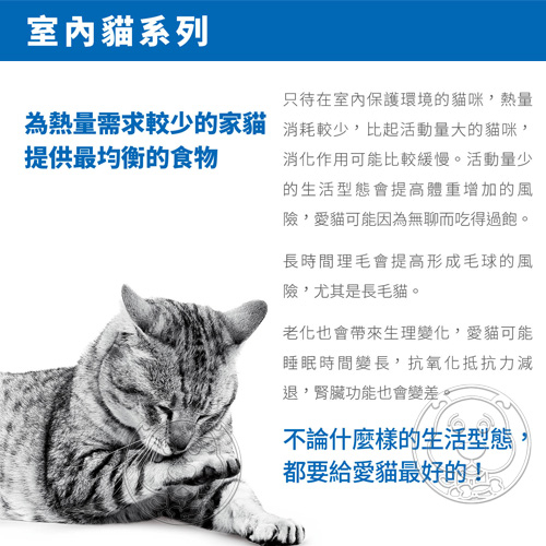 【培菓平價寵物網】FHN 新皇家飼料《室內成貓IN27》4kg