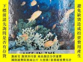 二手書博民逛書店world罕見book ecology life in the oceansY19139 出版2001