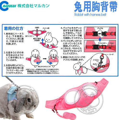 【培菓幸福寵物專營店】日本品牌MARUKAN》兔用胸背帶M (自行調整所需鬆緊 ) product thumbnail 3