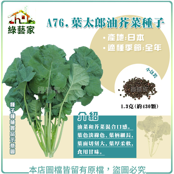 【綠藝家】A76.葉太郎油芥菜種子1.3克(約430顆)