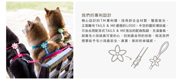 『寵喵樂旗艦店』台灣製TAILS&ME 尾巴與我《自然概念革-純粹系列胸背帶》M號賣場 product thumbnail 3
