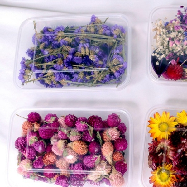 【BlueCat】盒裝乾花 材料包 乾燥花 永生花 浮游花 浮油花 灑花 花瓣 拍照道具